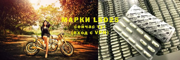 индика Верея