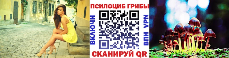 Галлюциногенные грибы Cubensis  Камызяк 